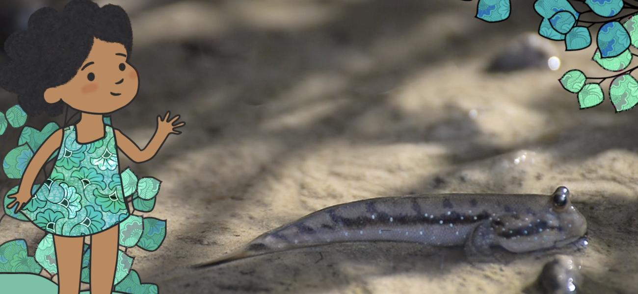 Animaux sauteurs Licorne/Grenouille